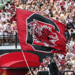 South Carolina hires UC Riverside AD as new Chief Marketing Officer